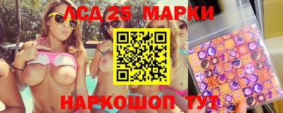 стафф Донской
