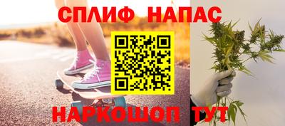 стафф Донской