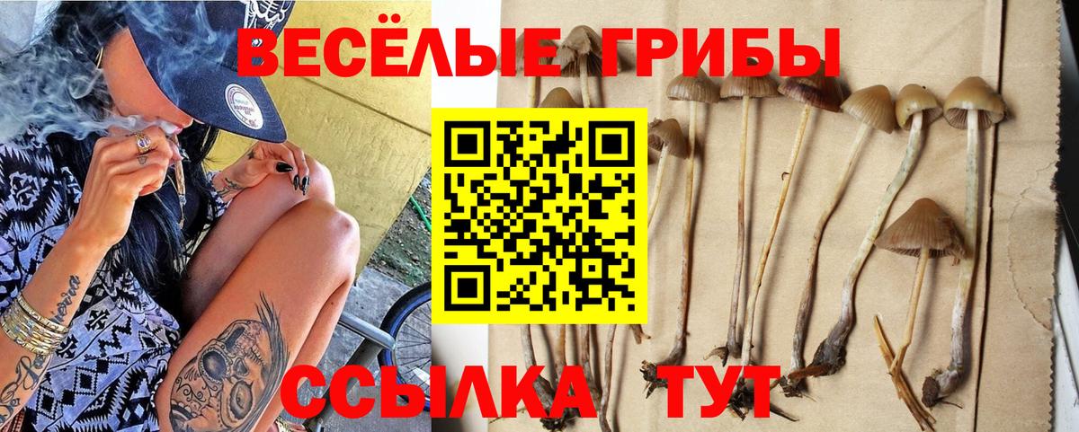 Галлюциногенные грибы Cubensis  Вход с VPN  Малгобек  Псилоцибиновые грибы Psilocybine cubensis 