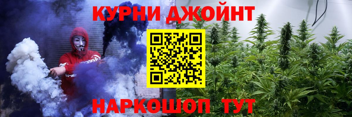 Бошки Шишки семена Малгобек